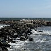 rocks